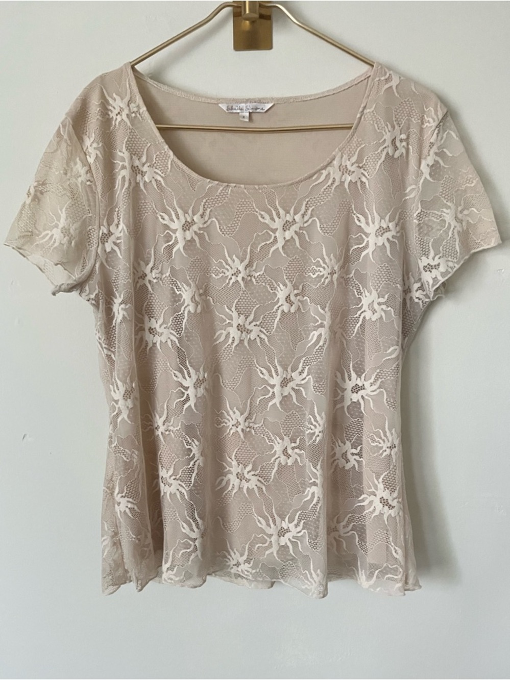 Delicate Lace Overlay Short Sleeve Top fairycore festival Beige XL